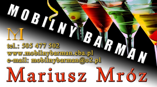 Mobilny Barman na wesele, 18-nastki MAŁOPOLSKIE, ŚLĄSKIE I INNE 